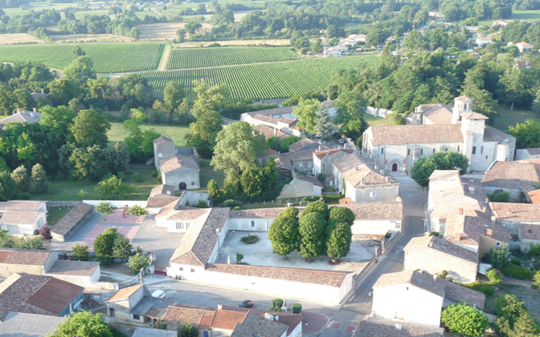 Neotopos à Vertheuil